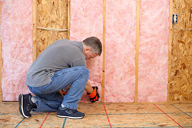 Best Specialized Insulation Services in Beresford, SD
